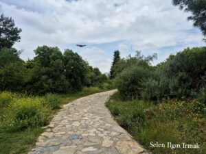 Olbia-Attaleia Antik Yolu
