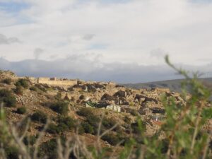 MedinaSiyasa