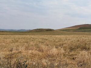 Karapınar Höyük, Polatlı