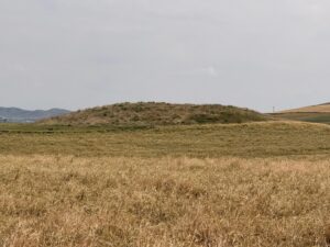 Karapınar Höyük