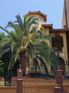 Erdal Demirel Mansion
