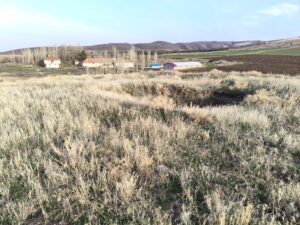 KARAPINAR ÇİFTLİĞİ HÖYÜĞÜ
