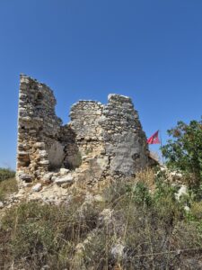 Saraylar Güney Değirmen, Marmara Adası