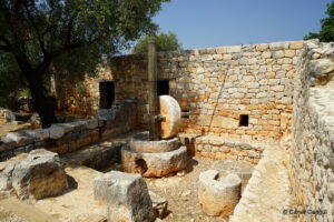 7 Nolu Zeytinyağı Atölyesi ve Köy Evi