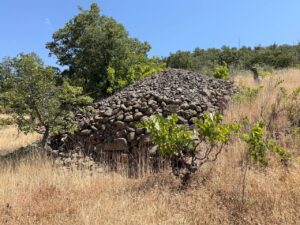 Sivritepe Kurganları 1 Sivritepe Kurganları