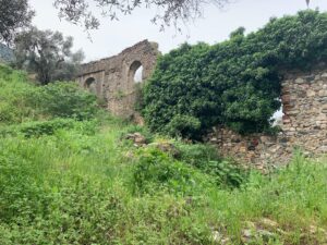 Su Değirmeni, Selçuk