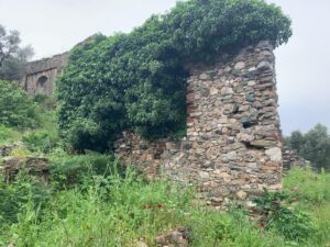 Selçuk Su Değirmeni