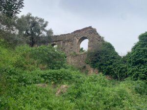 Selçuk Su Değirmeni