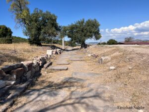 Apollon Smintheus Kutsal Yolu