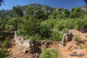 watermarked_11282(1)