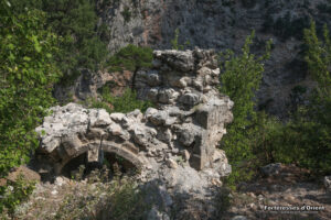 watermarked_11285(1)