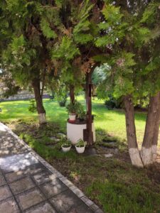 Sveti Konstantin ve Elena Kilisesi Su Kuyusu