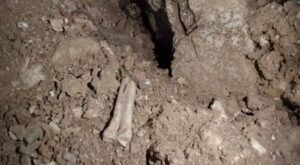 Şahinkaya Mağarasında bulunan kemik parçası 