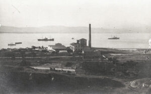 Turan Yağ Fabrikası